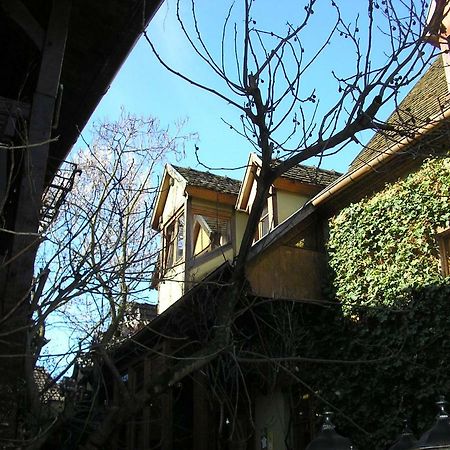 Gite Le Riesling برغهايم المظهر الخارجي الصورة